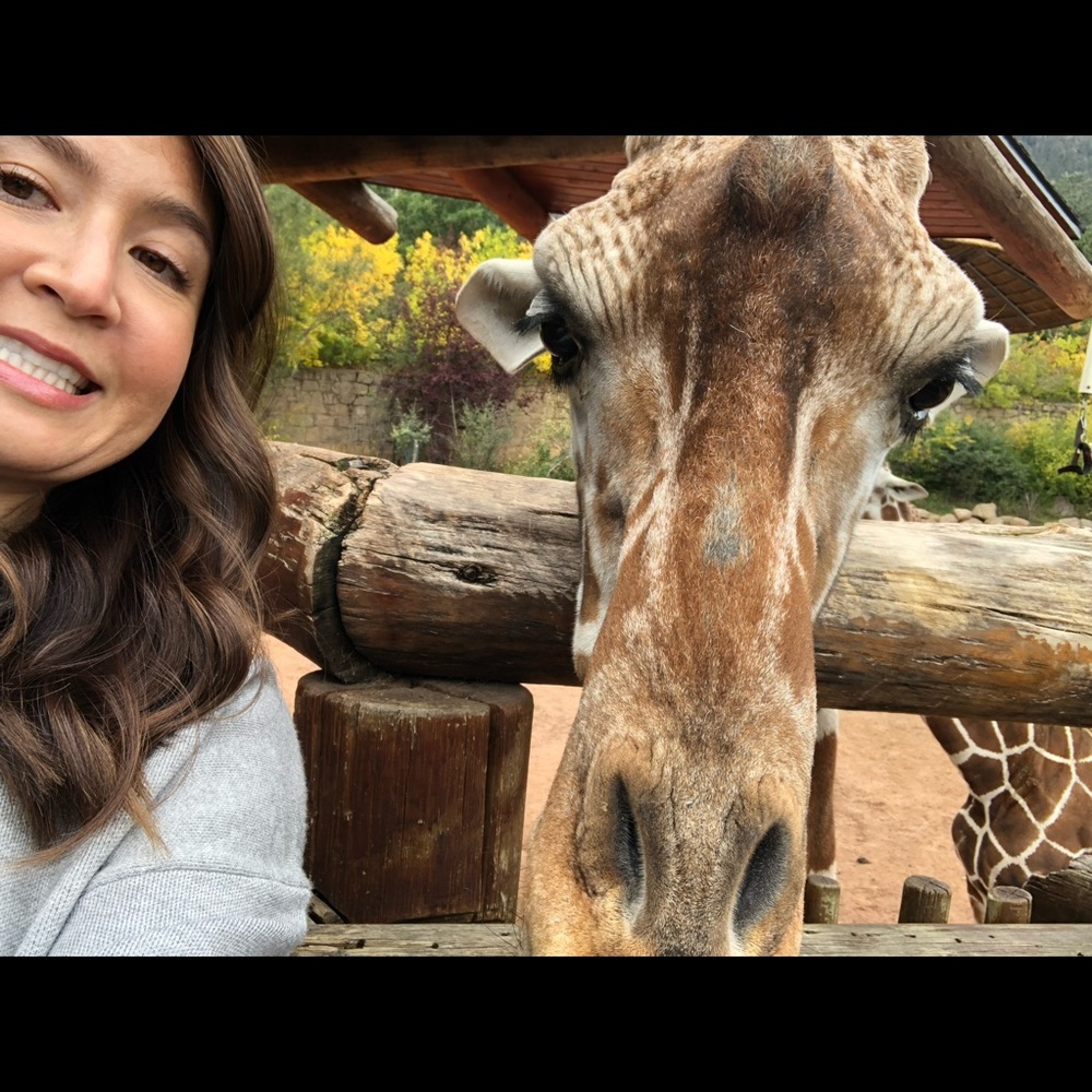 Meet your Posher, Rachel